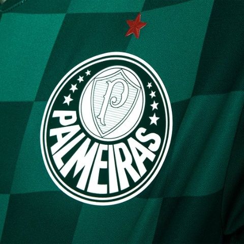 O PALMEIRAS NÃO TEM MUNDIAL!”