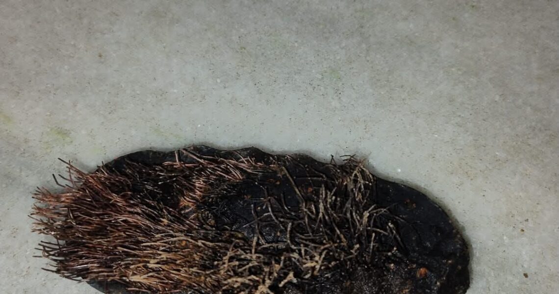 ESCOVA DE AÇO TERIA DEIXADO RUA DE MIRADOURO 15 DIAS SEM AGUA