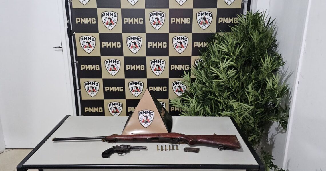 PM APREENDE GRANDE QUANTIDADE DE PÉS DE MACONHA EM FERVEDOURO