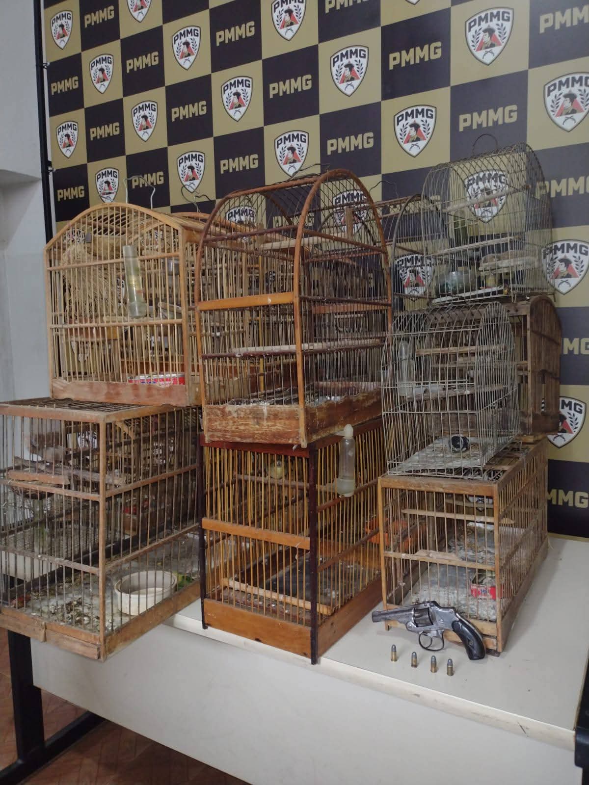 PMMG INTENSIFICA AÇÕES DA PATRULHA RURAL E REALIZA OPERAÇÃO NA ZONA RURAL DE CARANGOLA/MG