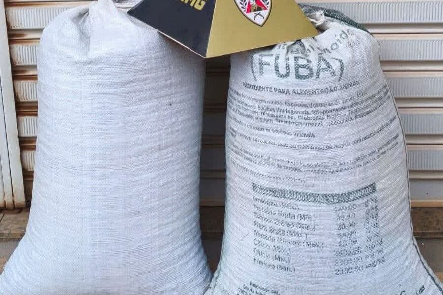 POLÍCIA MILITAR PRENDE DOIS HOMENS POR FURTO E RECUPERA CARGA DE CAFÉ EM VIEIRAS