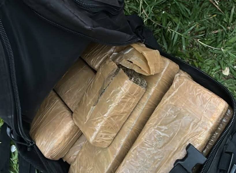 POLÍCIA MILITAR PRENDE DOIS AUTORES E APREENDE APROXIMADAMENTE 10 KG DE MACONHA EM ORIZÂNIA