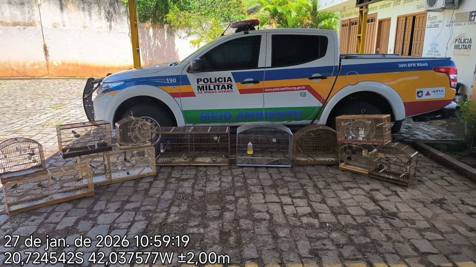 POLÍCIA MILITAR DE MEIO AMBIENTE APLICA MULTA DE QUASE R$30 MIL POR MANTER PÁSSARIOS SILVESTRES EM GAIOLAS EM CARANGOLA